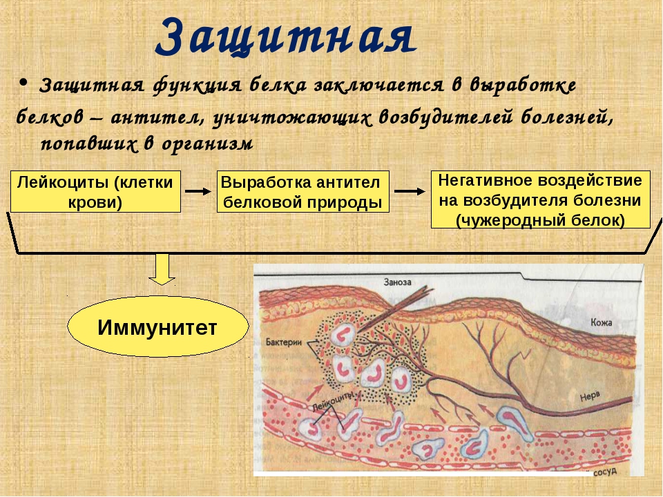 Защитная функция кожи картинки