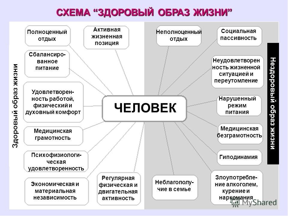 Образование человека здоровье человека закончи схему