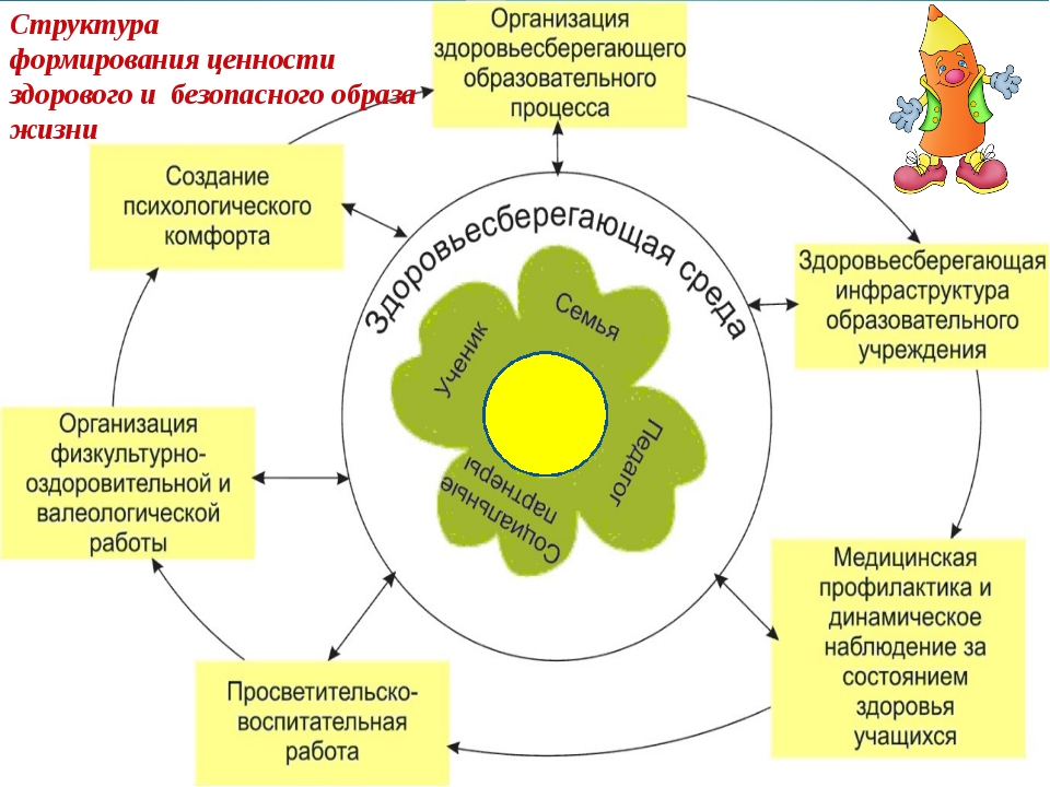 Образ образовательного процесса. Формирование ценностей здорового образа жизни. Формирование ценности здорового и безопасного образа жизни. Модели формирования ЗОЖ. Модель формирования здорового образа жизни.