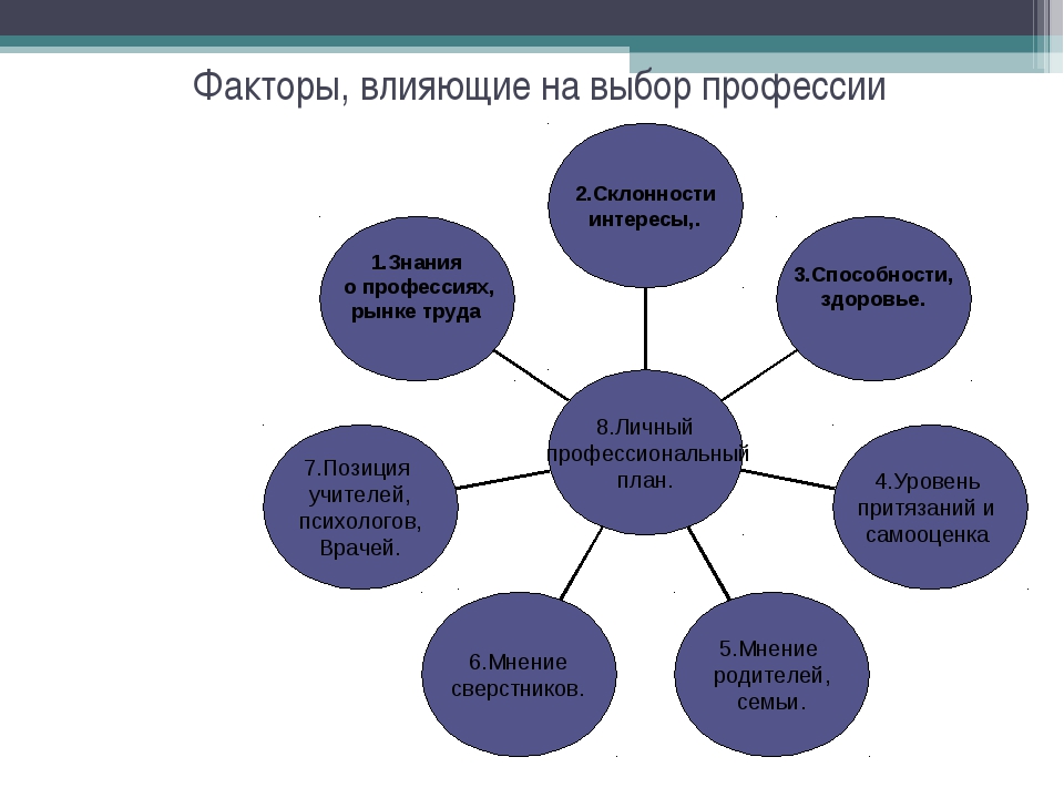 Выразите свое отношение к представленному описанию проекта с учетом имеющихся у вас знаний