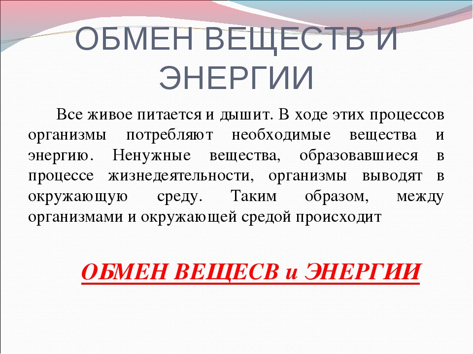 Проект на тему обмен веществ и энергии 6 класс биология