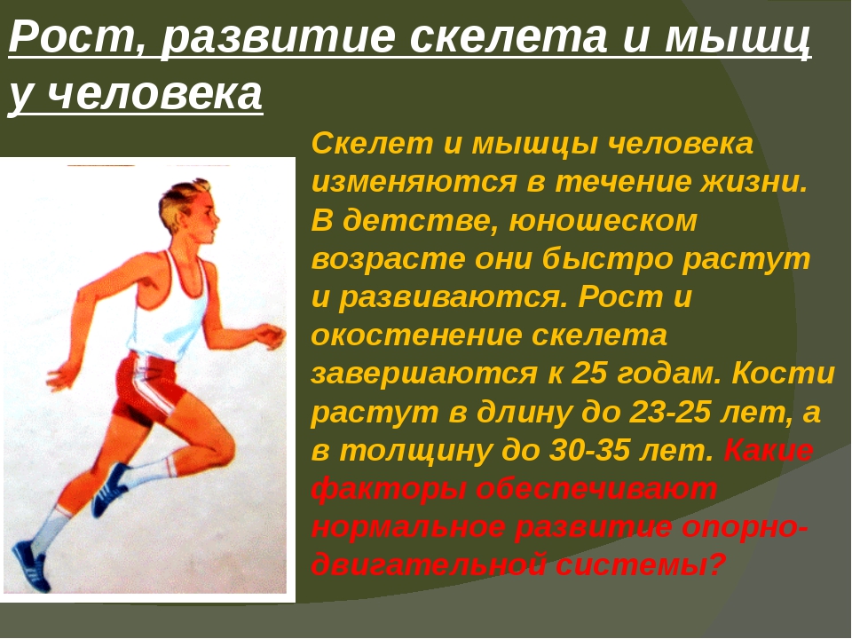 Упражнение смыслы. Влияние физических упражнений на мыш. Физические упражнения для формирования скелета и мышц. Значение физических упражнений для формирования скелета и мышц. Важность физических упражнений.