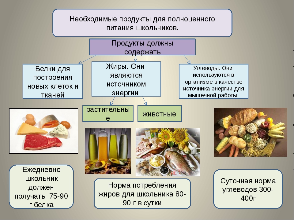 Качество продуктов питания проект