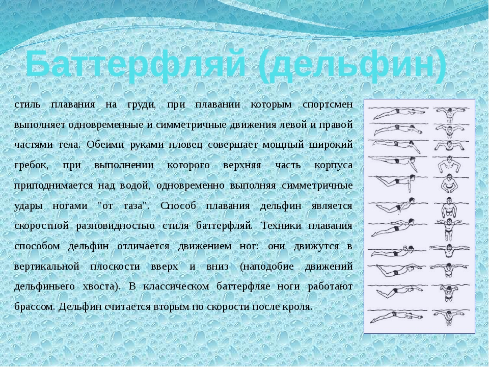 Заплыв способ образования. Способы плавания. Спортивные способы пла. Спортивные способы плавания. Плавание техника выполнения кратко.