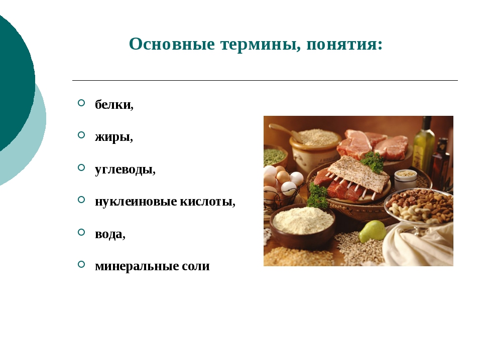 Белки углеводы вода. Белки жиры углеводы 5 класс биология. Белки жиры углеводы нуклеиновые кислоты. Органические вещества белки жиры углеводы нуклеиновые кислоты. Органические соединения белки жиры углеводы нуклеиновые кислоты.