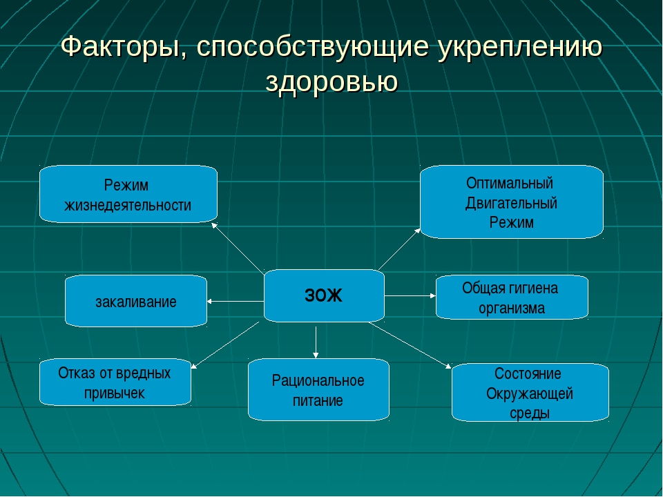 Факторы способствующие укреплению здоровья обж проект