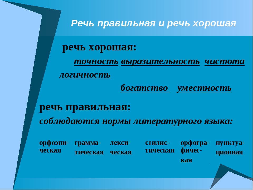 Проект на тему что такое хорошая речь