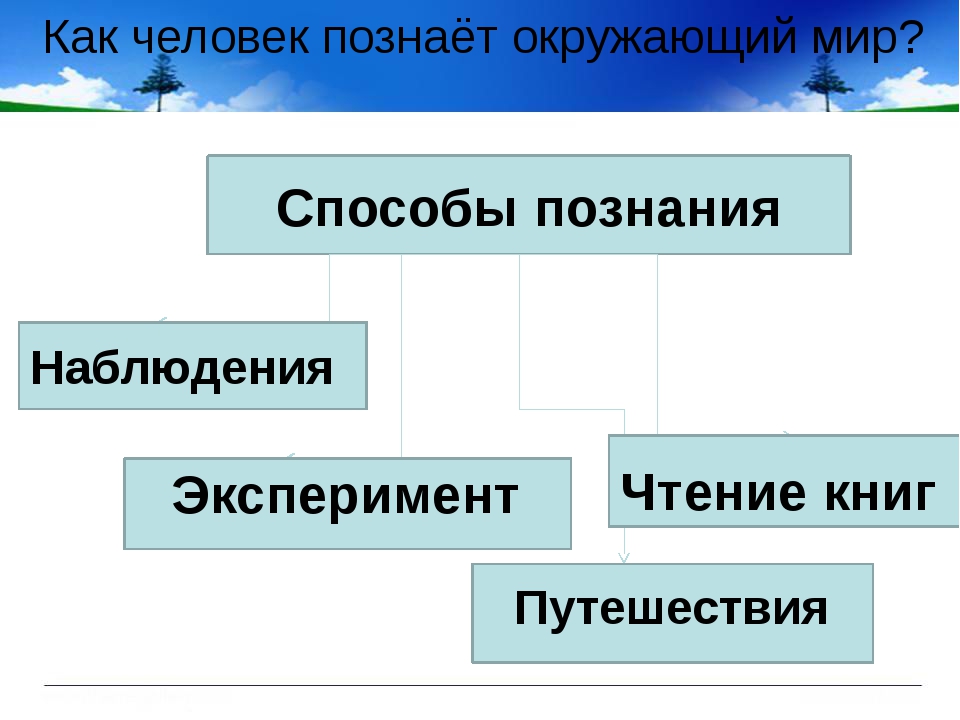 Проект человек познает мир 6 класс обществознание