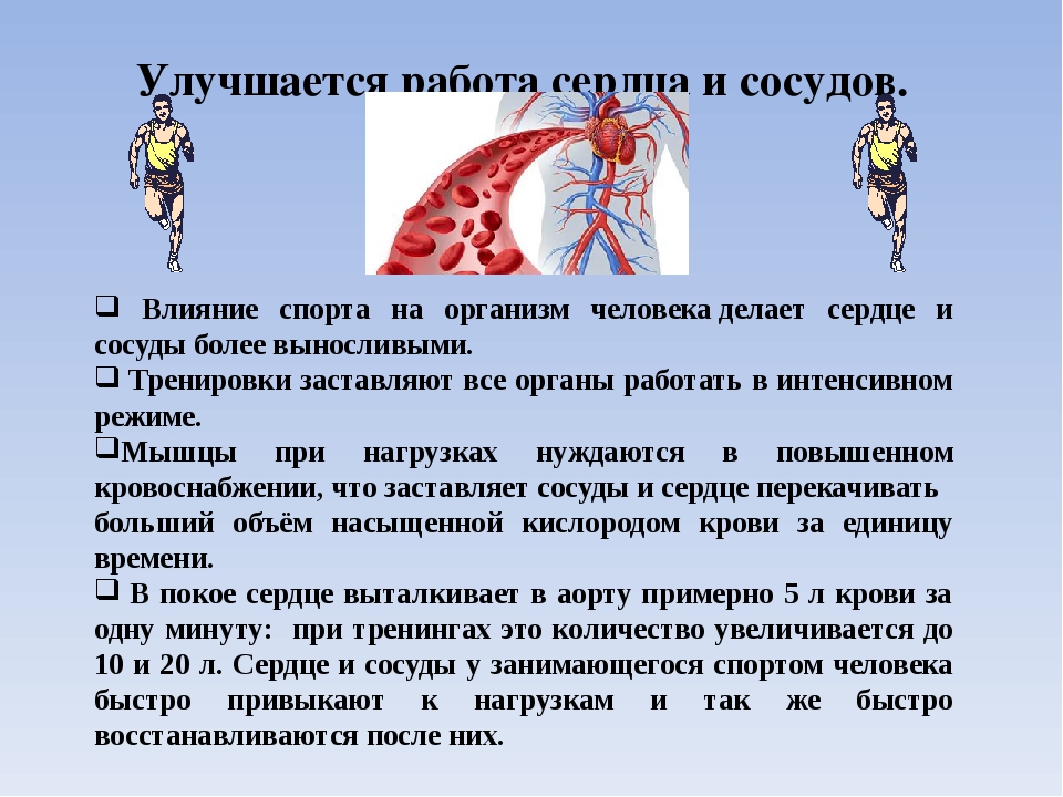 Влияние на сердечно. Влияние спорта на сердечно-сосудистую систему. Влияние физических нагрузок на сердце. Влияние спорта на сердце и сосуды. Влияние спорта на организм человека.