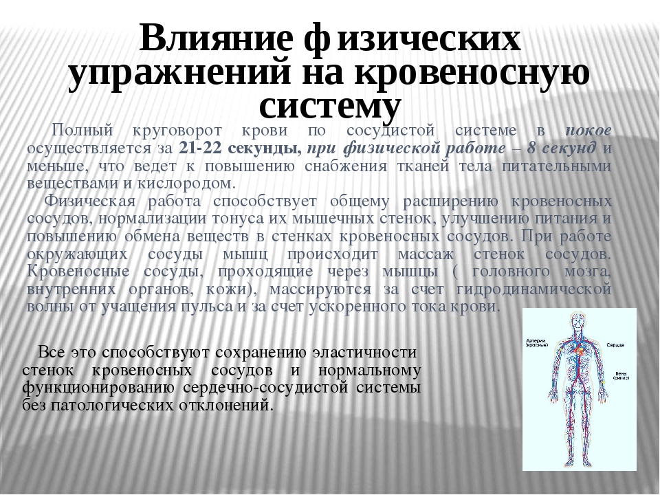 Влияние физической нагрузки на сердечно сосудистую систему презентация