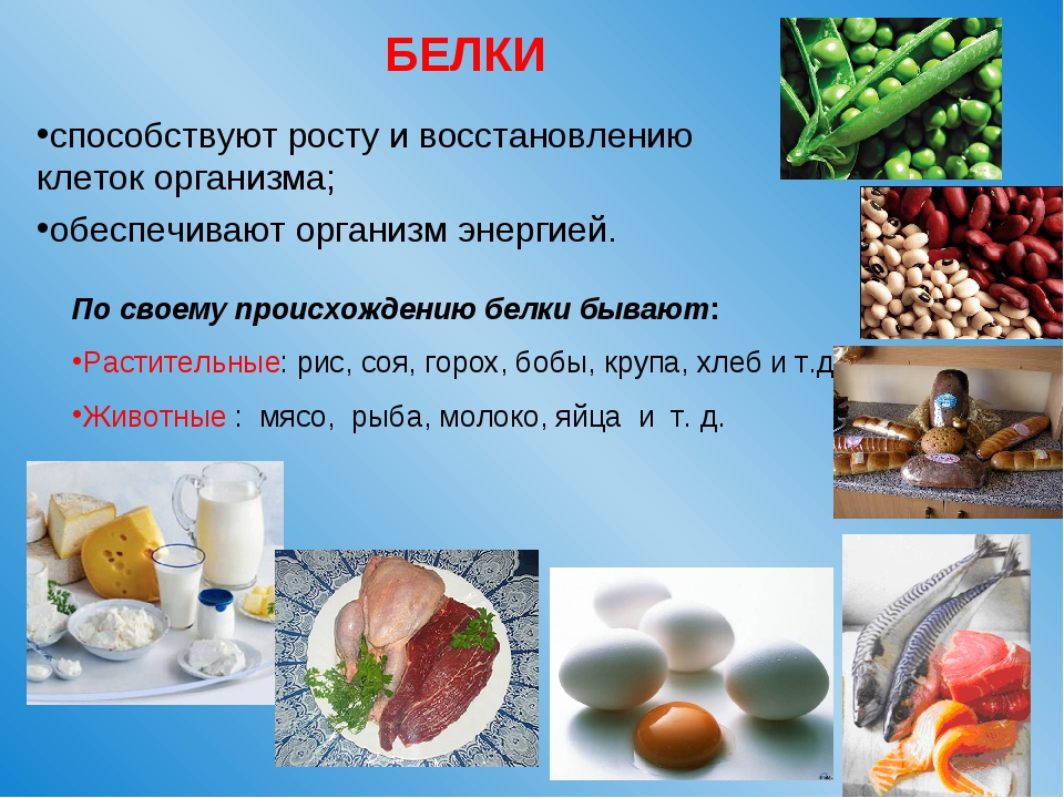 Темы для проекта по биологии с продуктом