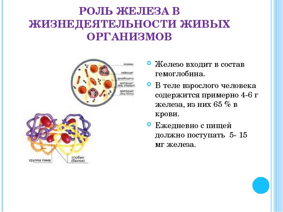 Значение железа. Роль железа в организме человека. Роль элемента железа в организме человека. Роль элемента железа в организме человека кратко. Роль железв организме человека.