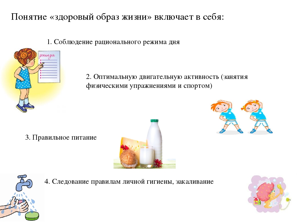 Что входит в содержание зож