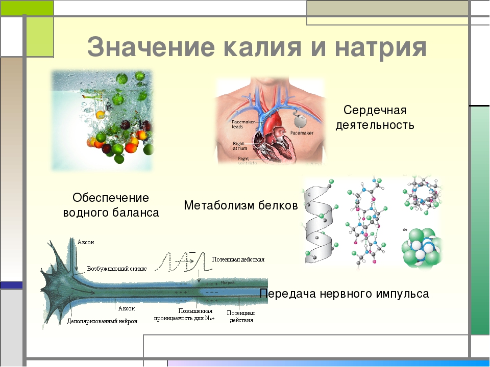 Биологическая роль калия презентация