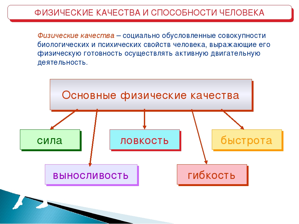 Признаки наличия способностей к какому либо виду деятельности схема