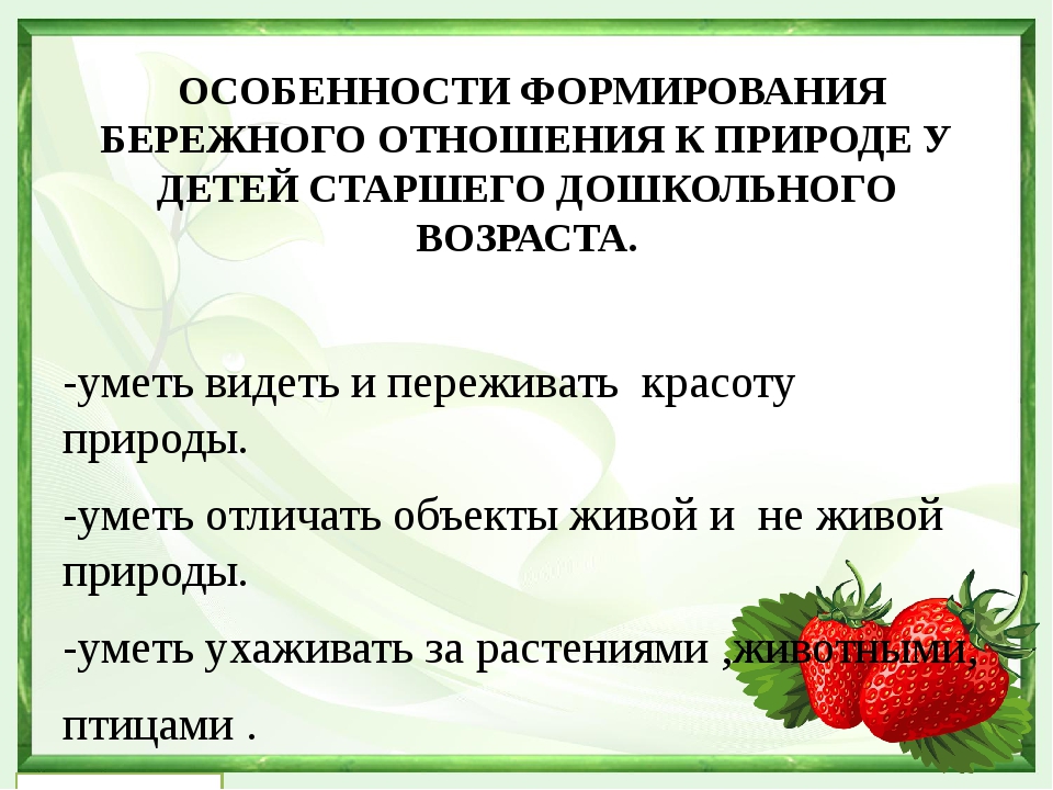 Правила бережного отношения к природе картинки