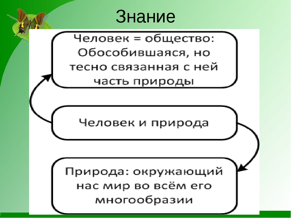 Презентация про природу 7 класс обществознание