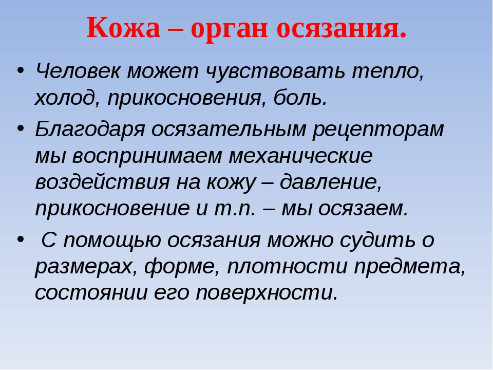 Что значит орган. Осязание презентация. Органы осязания у человека. Кожа орган осязания презентация. Осязание презентация 4 класс.