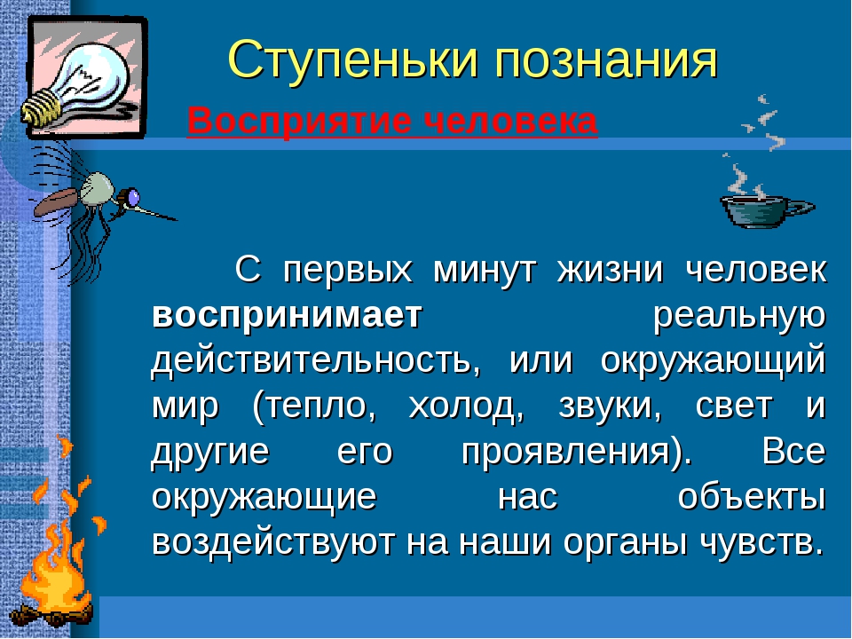 Органы познания человека. Ступеньки познания человеком окружающего мира.