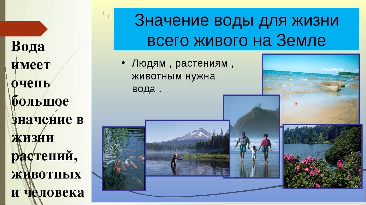 Пользуясь выделенными в тексте главными положениями урока составь план на тему значение воды