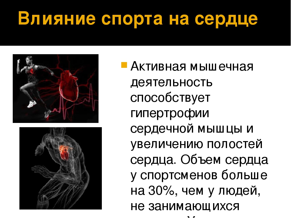 Влияние физических нагрузок на сердечно сосудистую систему проект