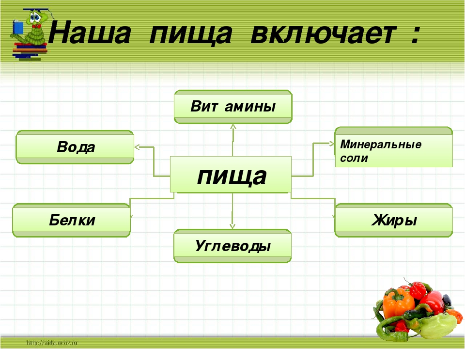 Из чего состоит проект