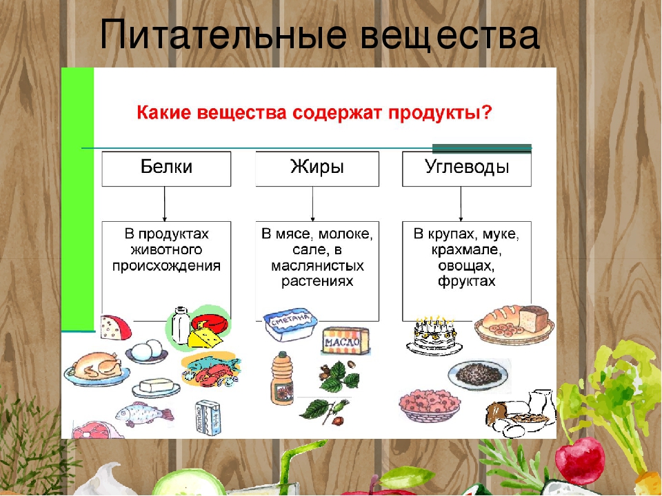 Продукты питания проект