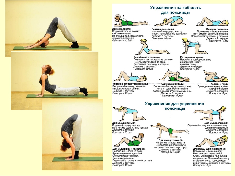 Упражнения на развитие гибкости с картинками