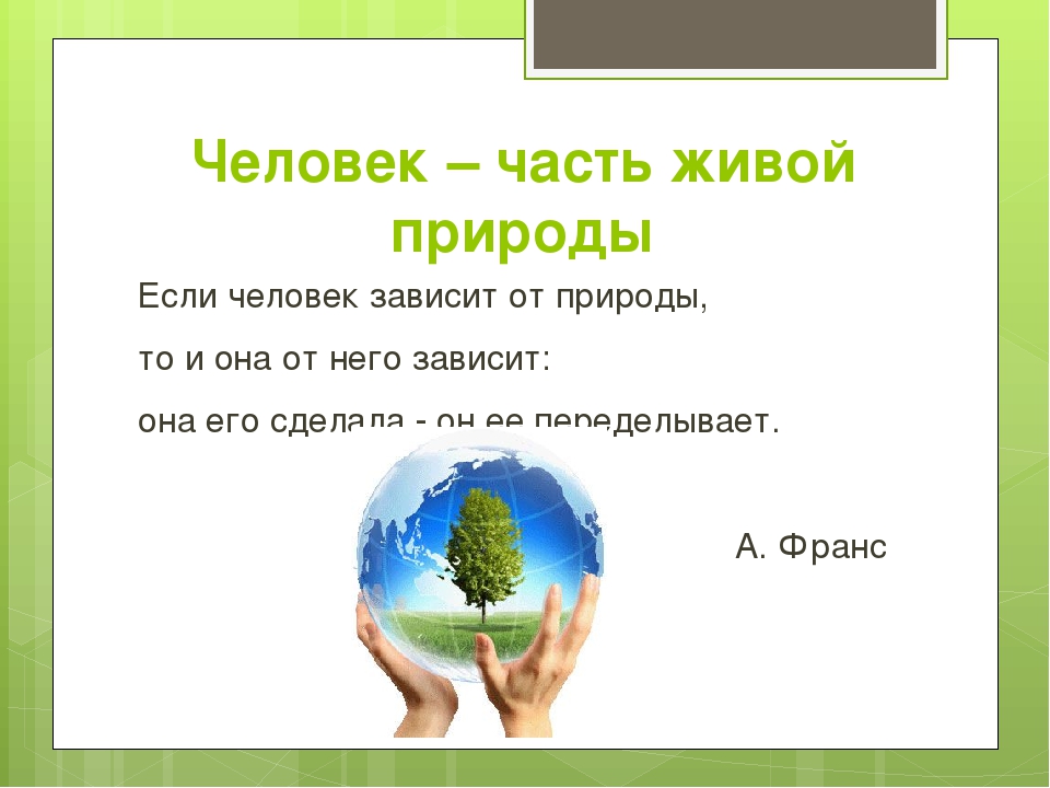 Человек часть живой природы презентация 6 класс биология