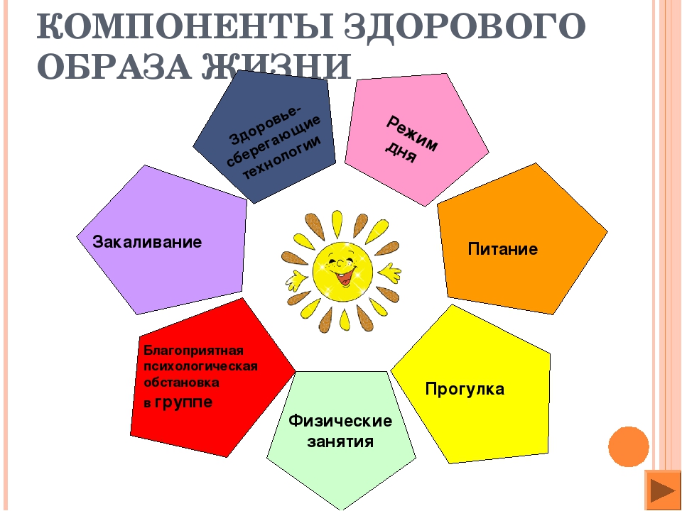 Компоненты здорового образа жизни картинки