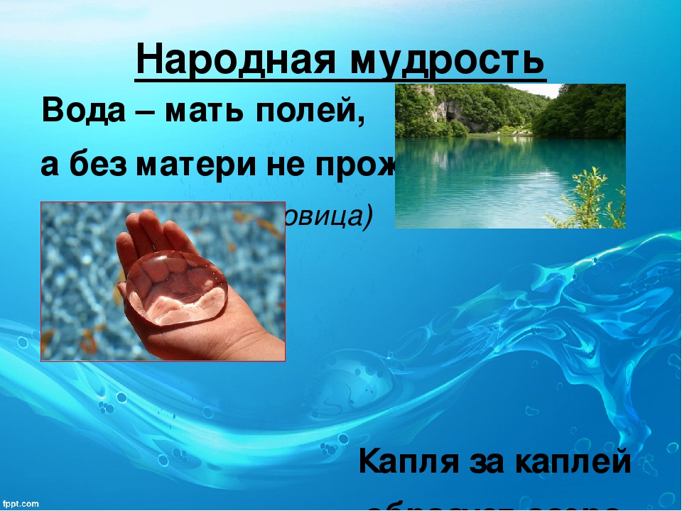 Проект вода это жизнь