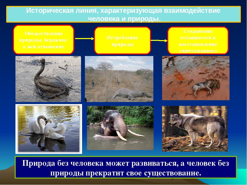 История взаимоотношений человека и природы презентация