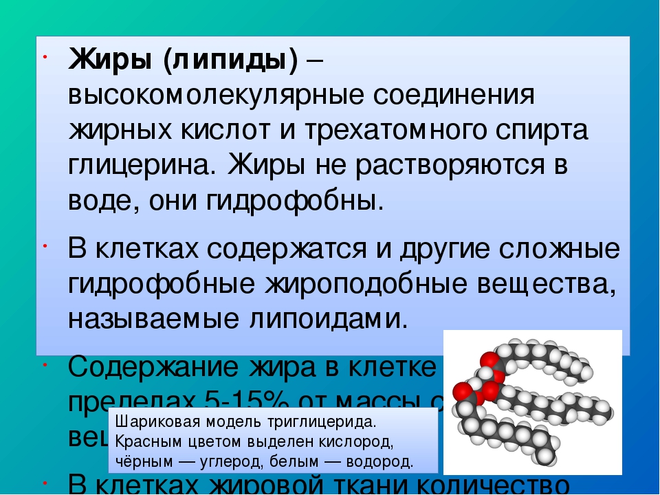 Липиды картинка для презентации