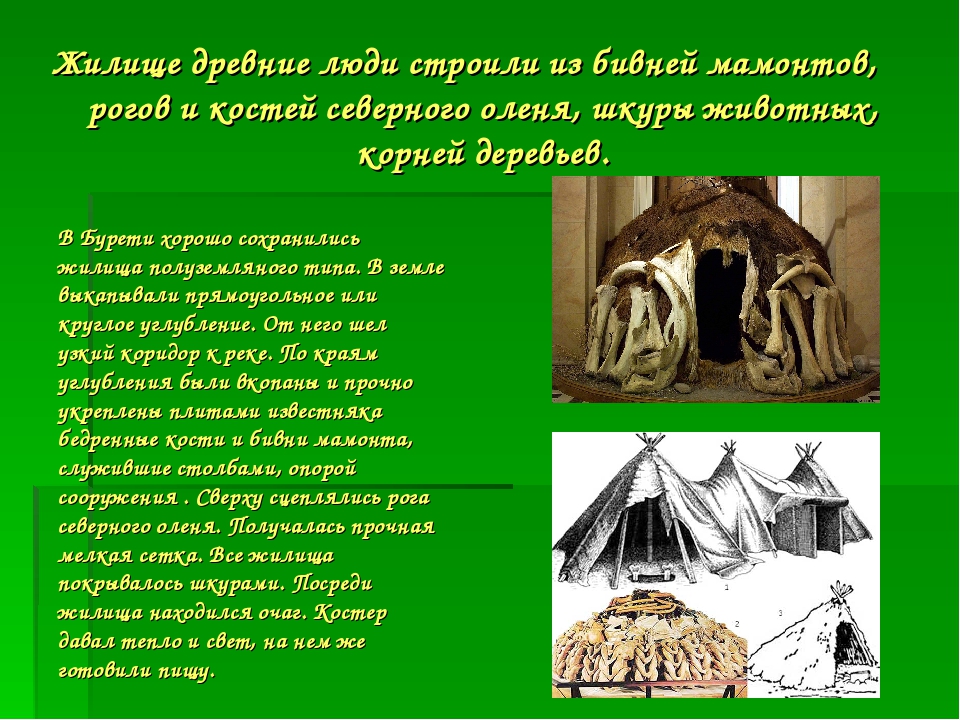 Какие дома строили древние люди. Жилища древних людей. Жилище древнего человека. Жилище первобытного человека. Первые жилища человека.