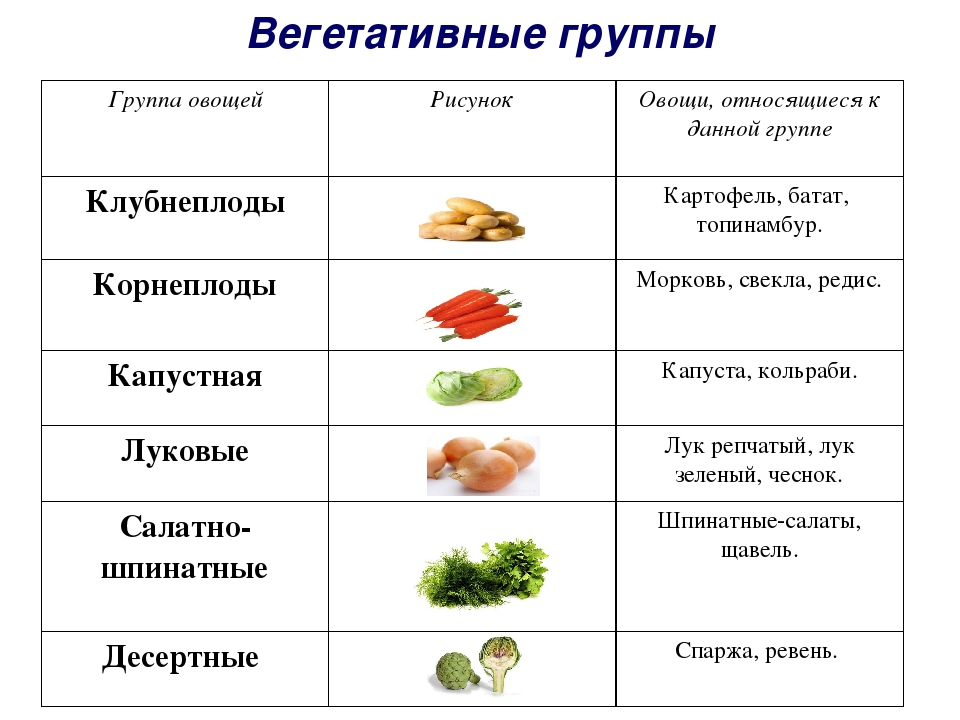 Перечень овощных культур от а до я