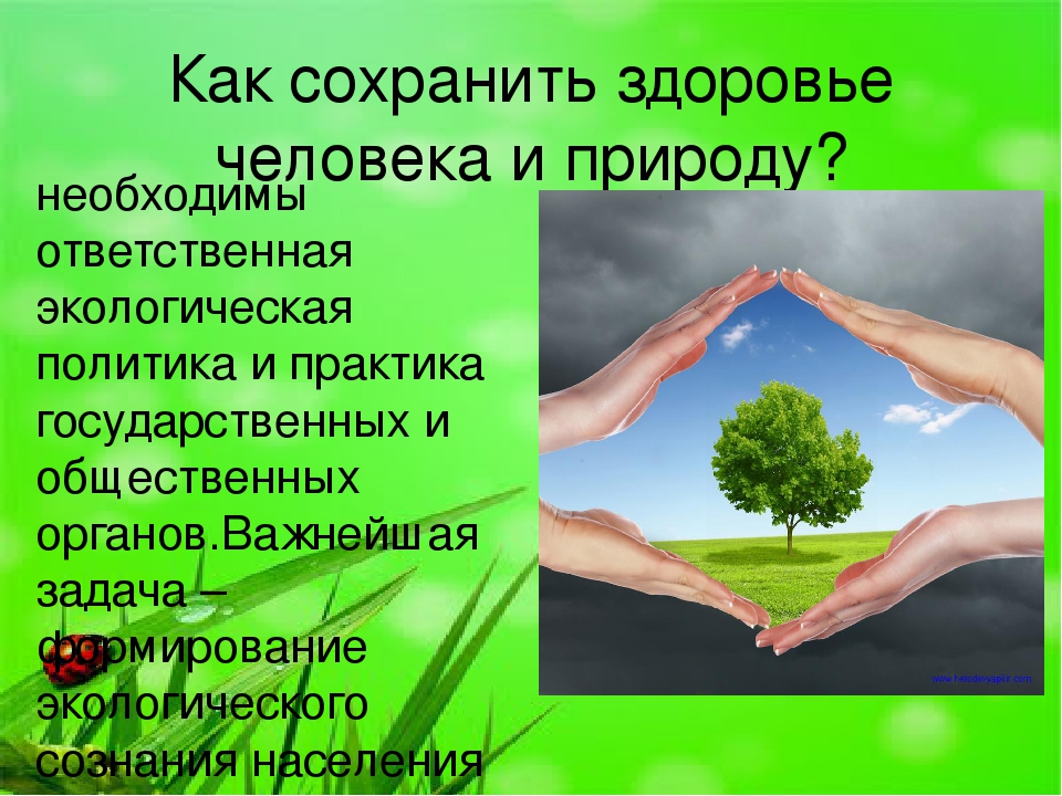 Природа в жизни человека проект 1 класс