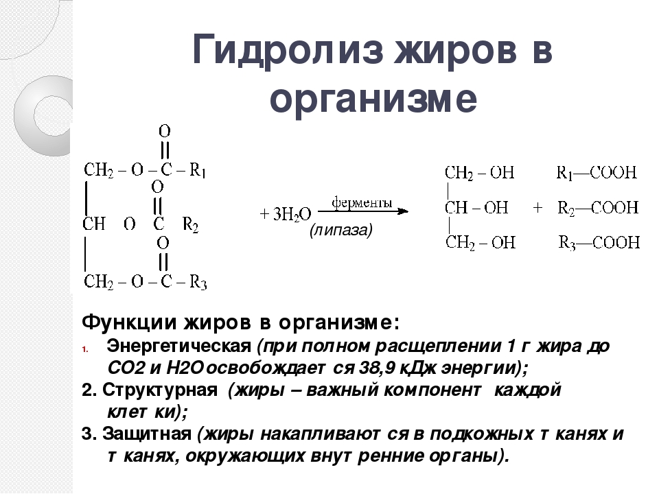 Гидролизу подвергается глицерин. Реакция гидролиза нейтральных жиров. Гидролиз нейтрального жира реакция. Гидролиз жиров уравнение реакции. Гидролиз жиров формула реакции.