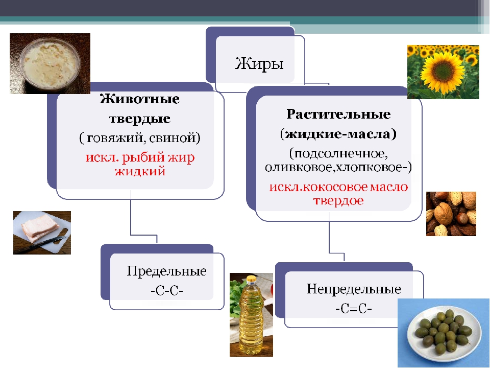 Жиры выполняют. Жиры презентация по химии. Жиры химия презентация. Жиры классификация функции. Предельные и непредельные жиры.