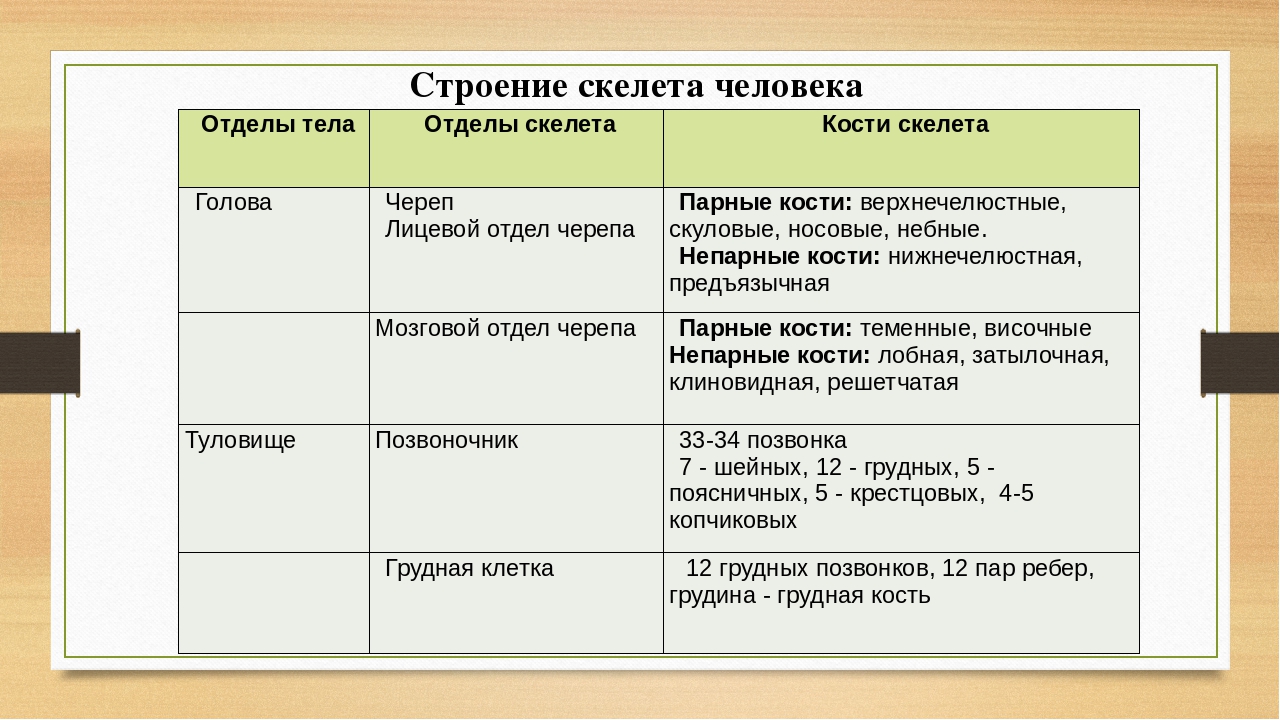 Скелет проекта образец