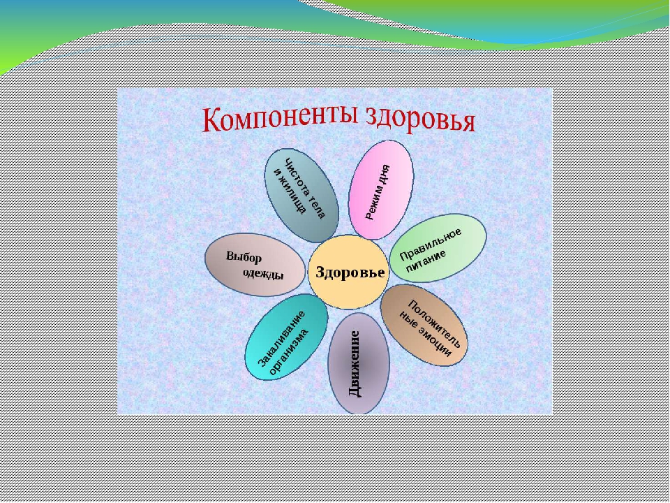 Картинки компоненты здоровья