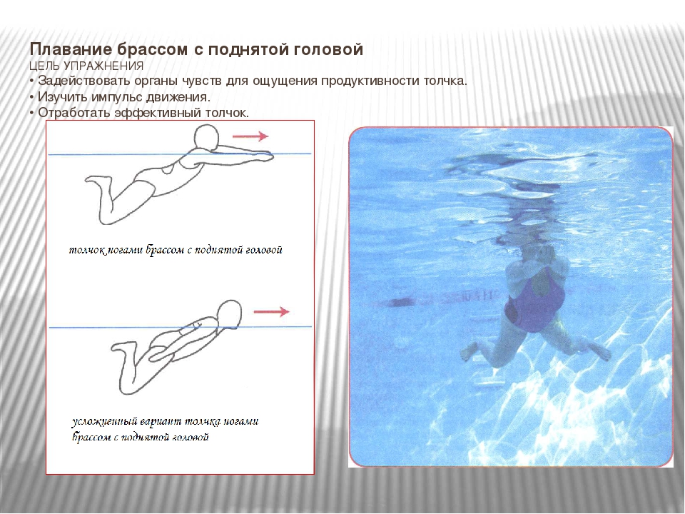 Техника плавания брассом для начинающих в картинках пошагово