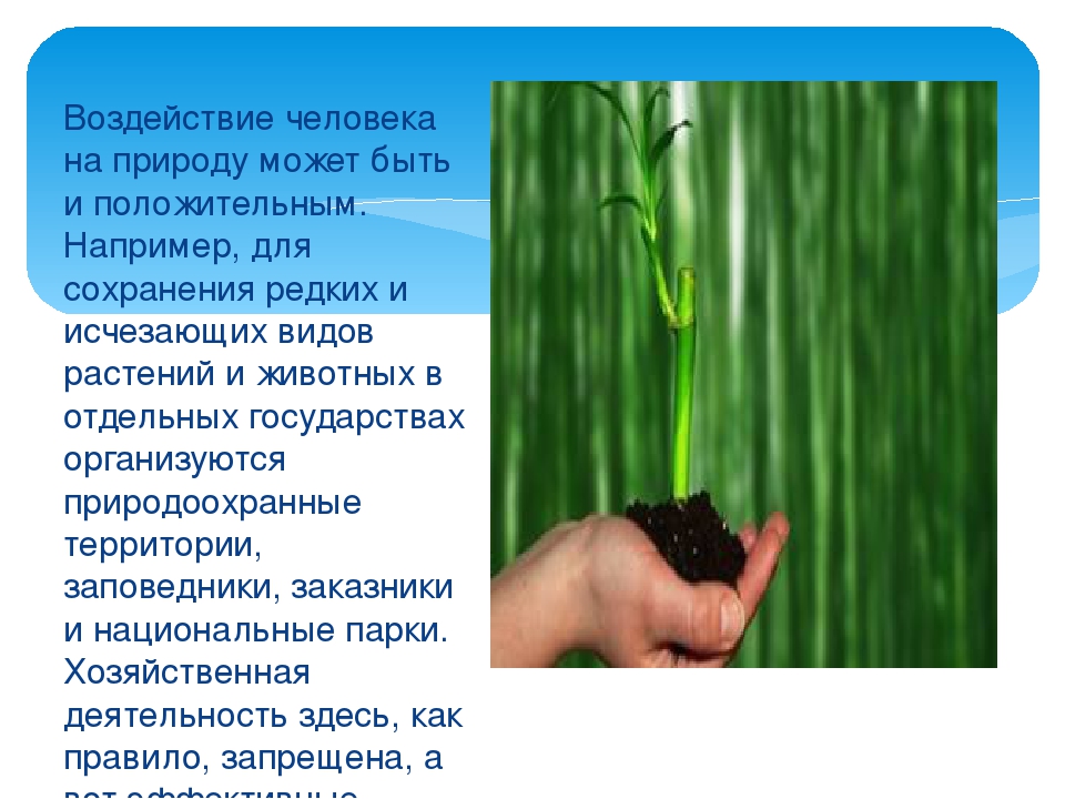 Воздействие человека на природу 7 класс обществознание конспект и презентация