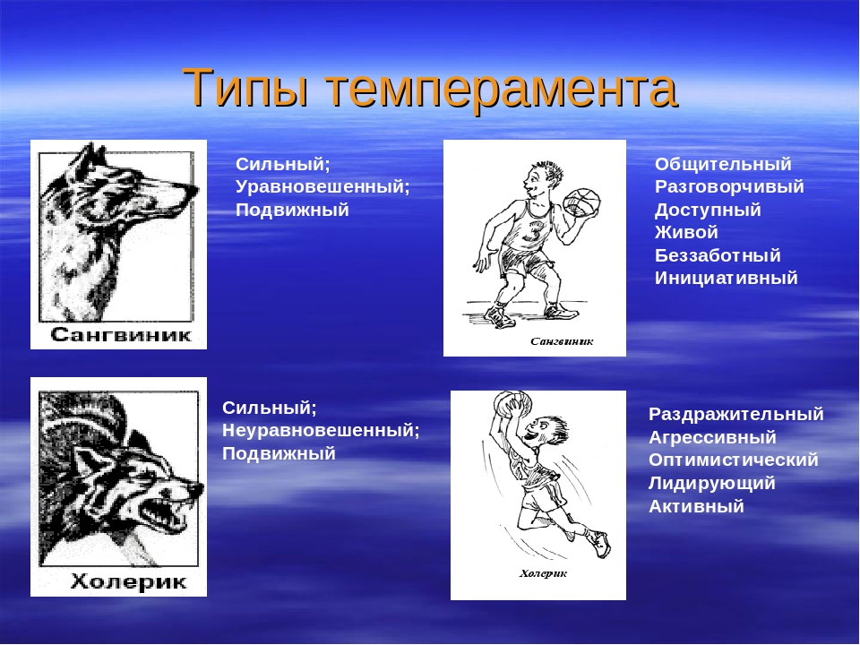 Какому типу темперамента соответствует приведенная ниже картинка и описание