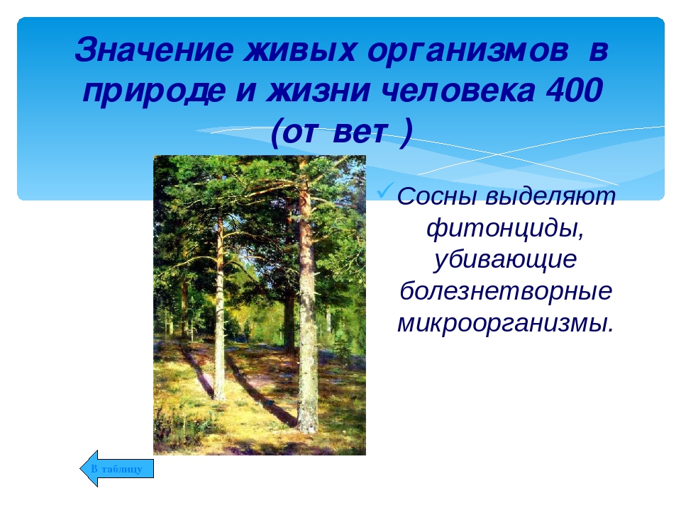 Что значит природа. Значение живых организмов в природе и жизни человека. Роль организмов в природе. Значение живых организмов в природе. Значение живых организмов втприроде.