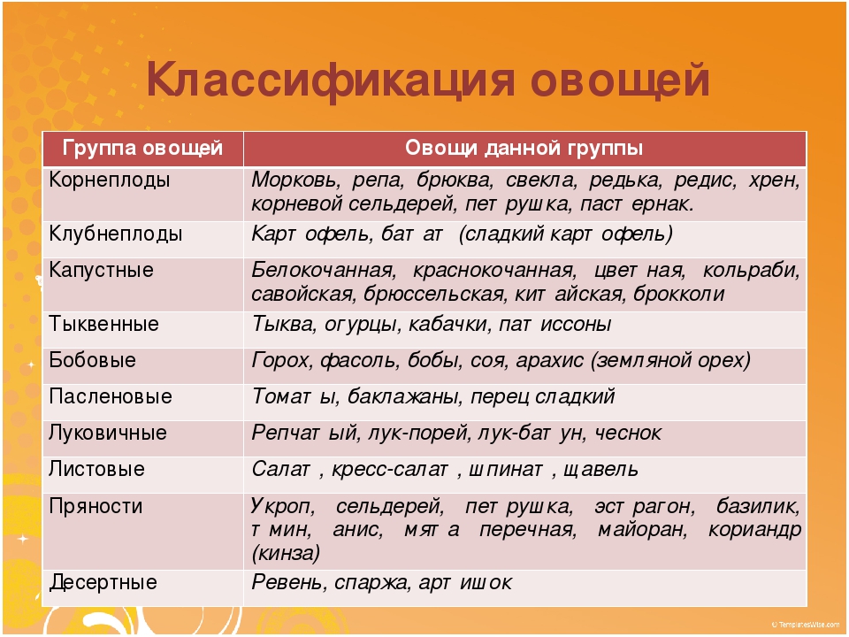 Классификация овощных растений схема