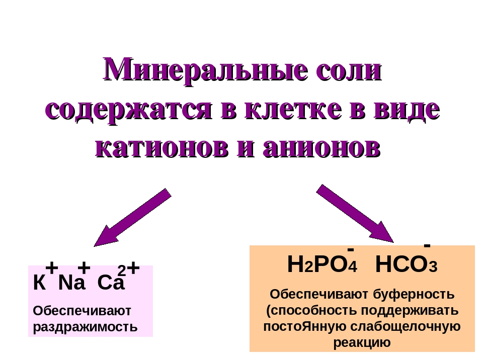 Функции солей. Минеральные соли биология 5 класс. Минеральные соли функции таблица. Минеральные соли функции в клетке. Минеральные соли свойства и функции.