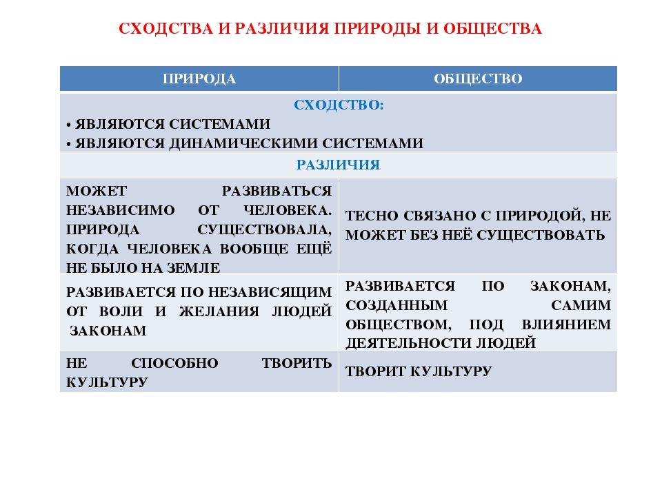 Что общего и что различного между сценами и картинами