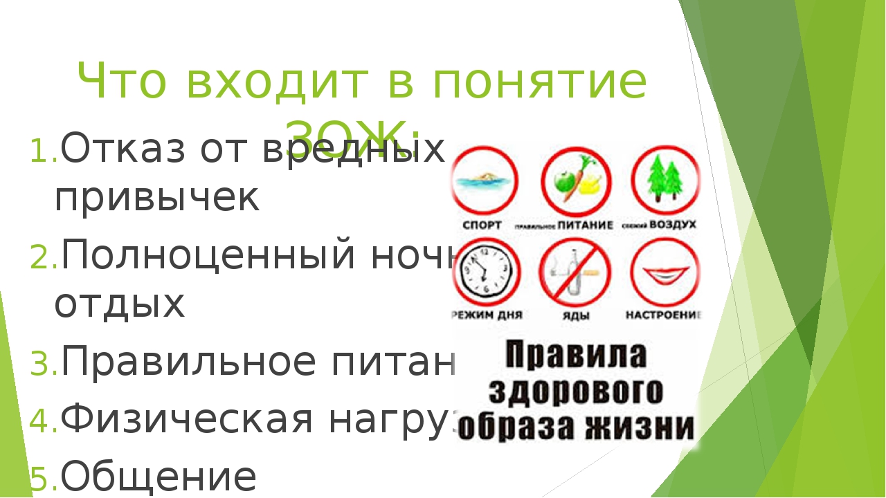 Карта здорового образа жизни после заполнения находится