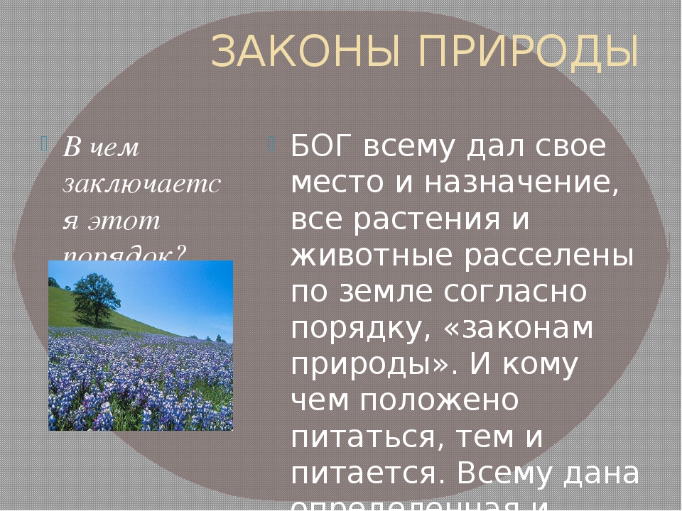 Принципы законов природы. Законы природы. Законы природы примеры. Естественные законы природы. Законы природы для человека.