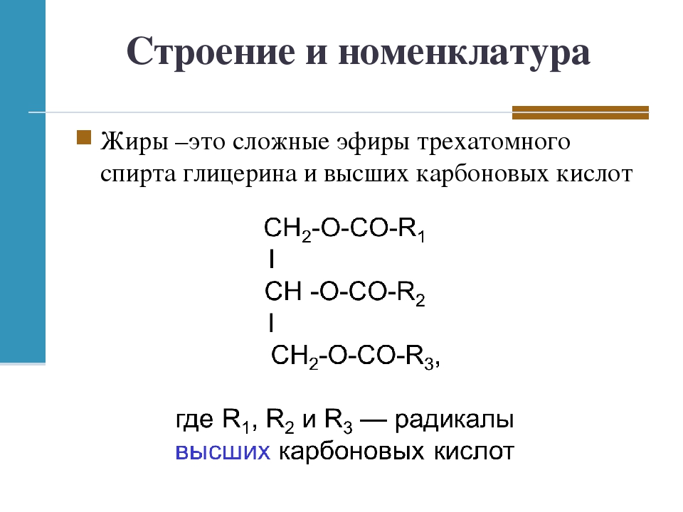 План урока сложные эфиры и жиры